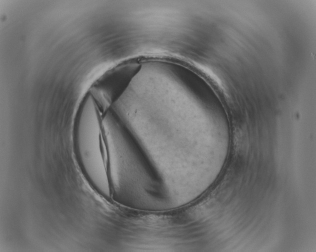 X0000088451327200706121429
