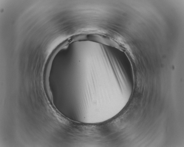 X0000088451328200706121429