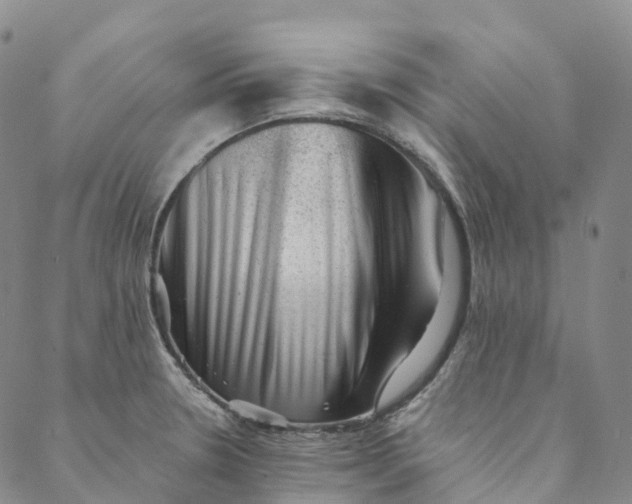 X0000088451330200706121429