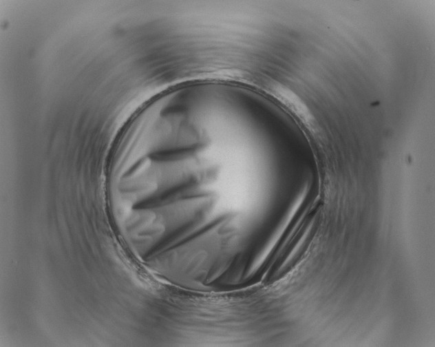 X0000088451332200706121429