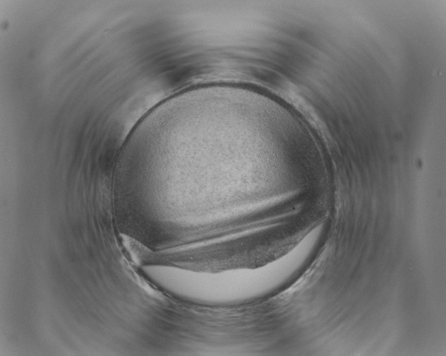 X0000088451337200706121429