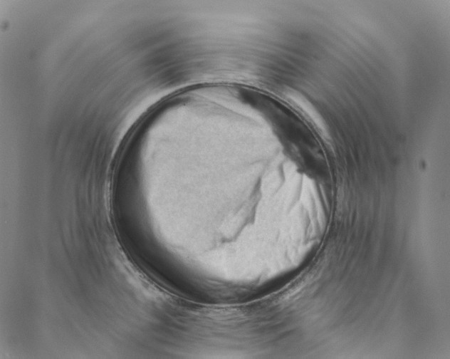 X0000088451340200706121429