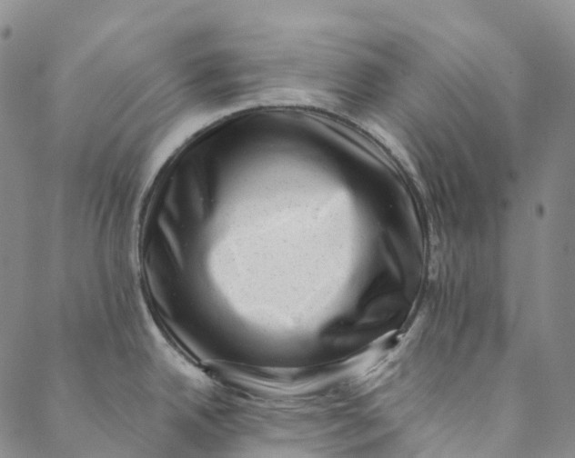 X0000088451342200706121429