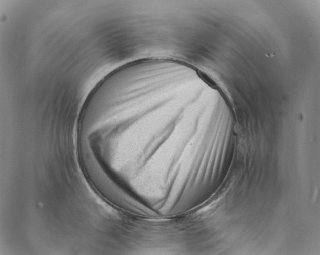 X0000088451343200706121429