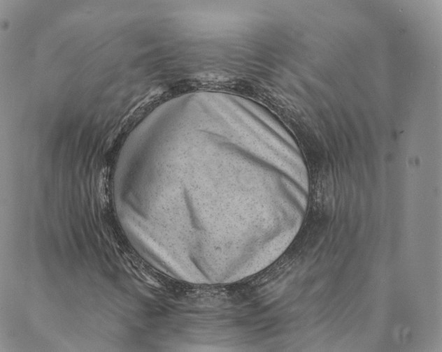 X0000088451346200706121429