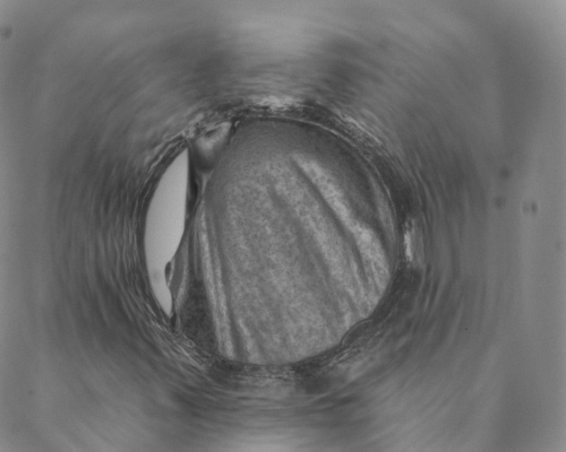X0000088451347200706121429