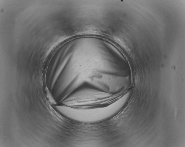 X0000088451356200706121428