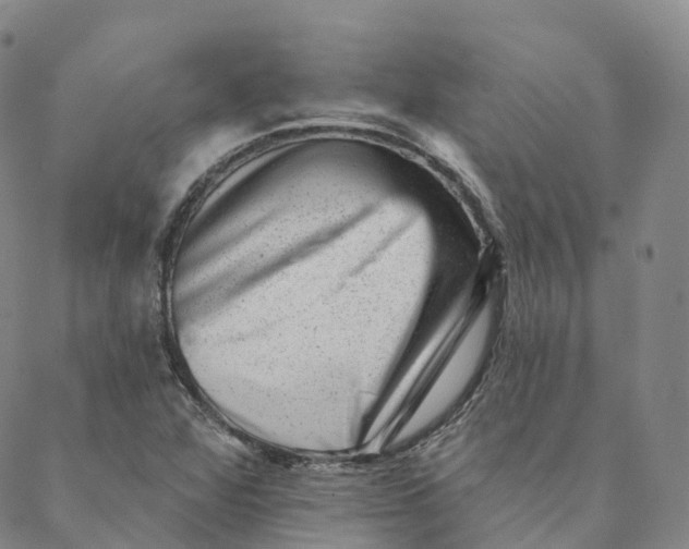 X0000088451360200706121428