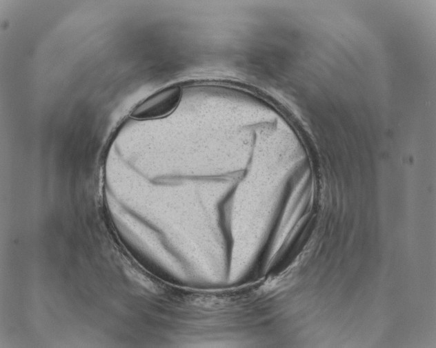 X0000088451366200706121428