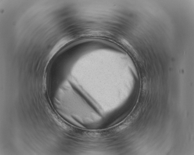X0000088451370200706121428