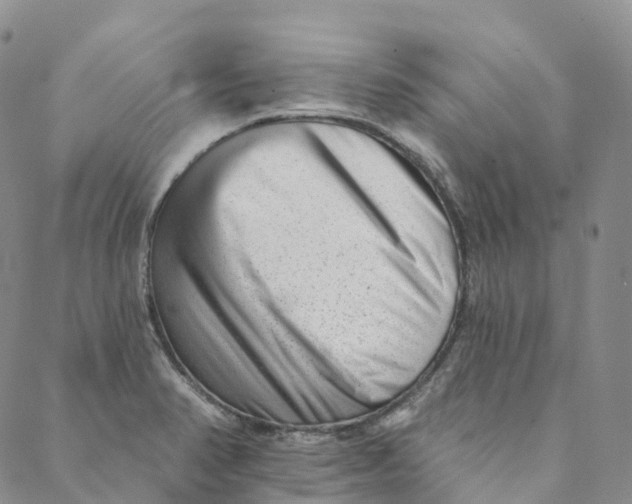 X0000088451374200706121428