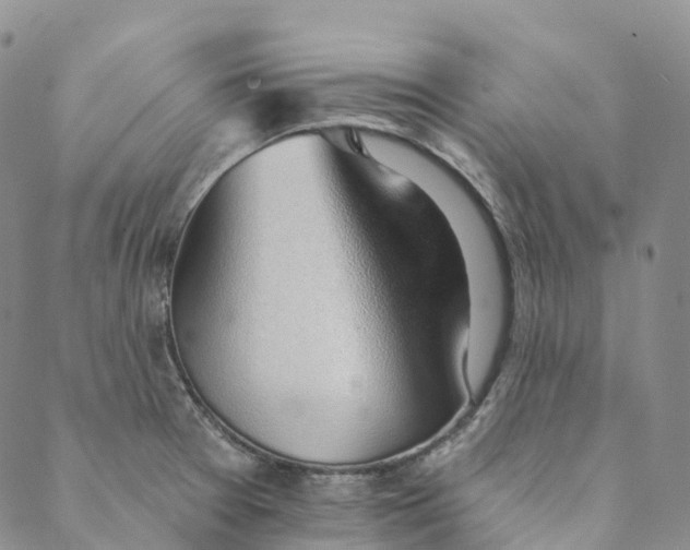 X0000088451377200706121428