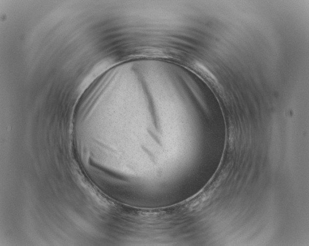 X0000088451378200706121428