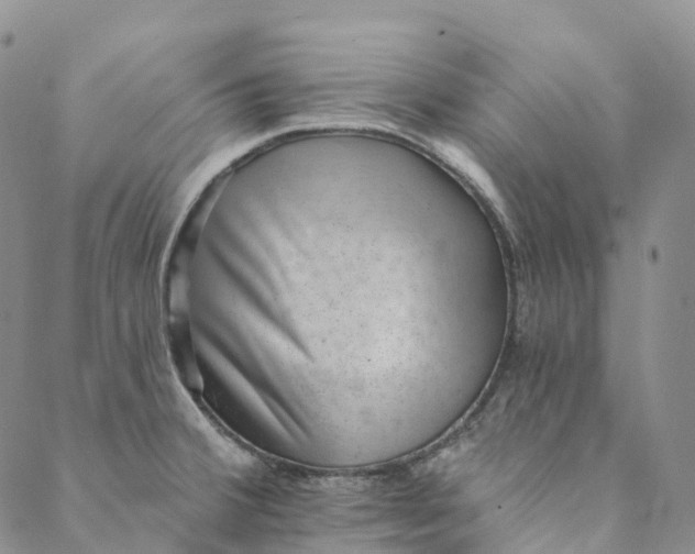 X0000088451380200706121428