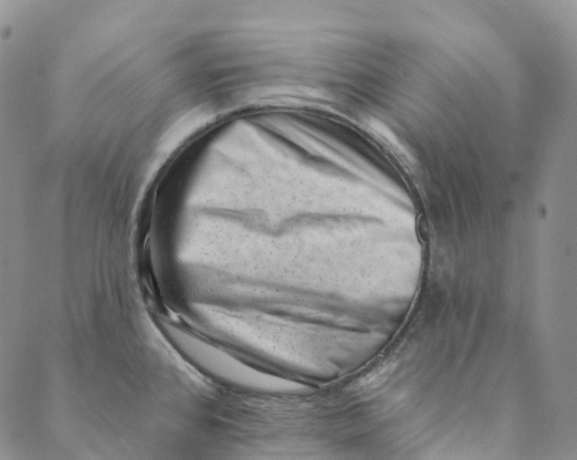 X0000088451384200706121428