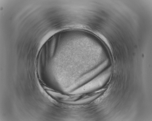 X0000088451389200706121428