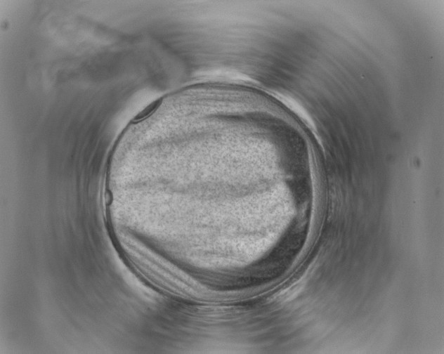 X0000088451391200706121428