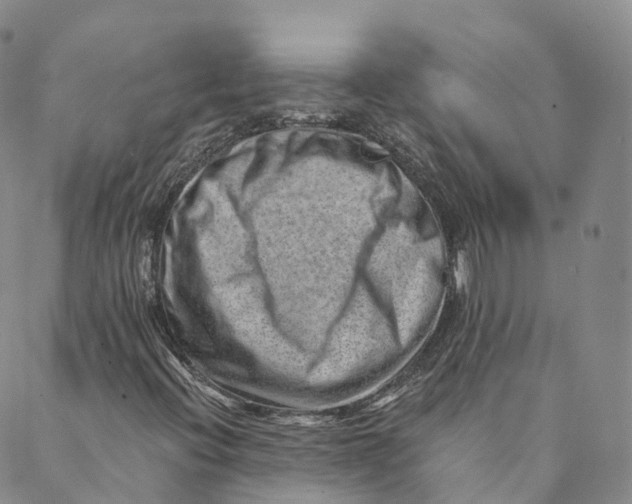 X0000088451396200706121427