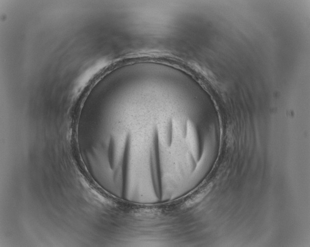 X0000088451406200706121427