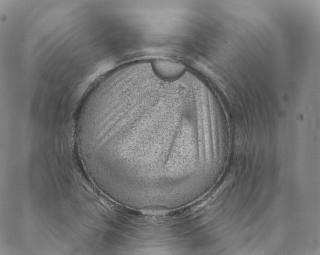 X0000088451411200706121427