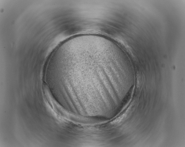 X0000088451422200706121428