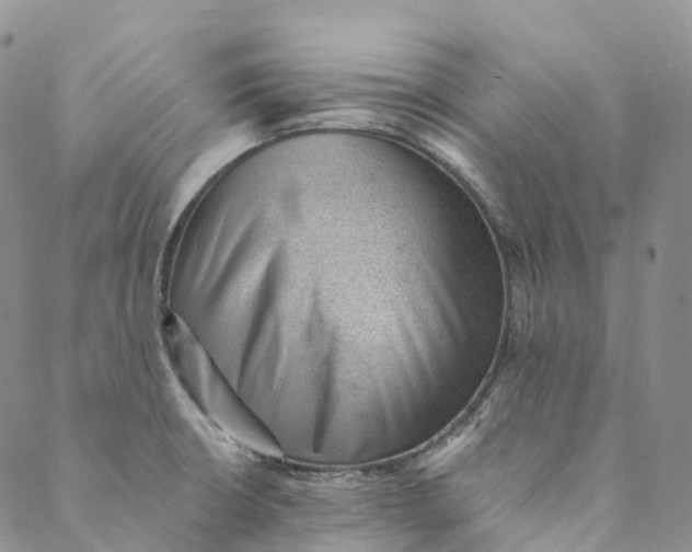 X0000088451426200706121428