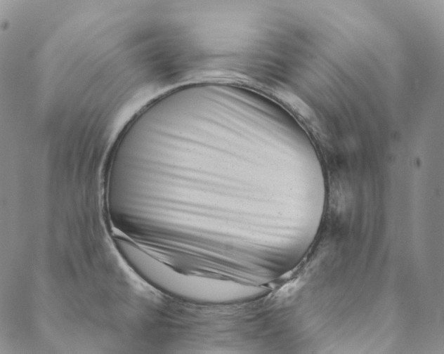 X0000088451430200706121428