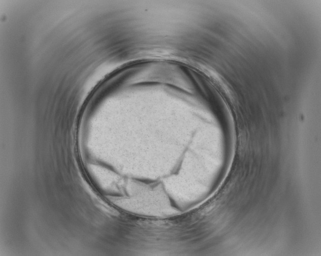 X0000088451432200706121428