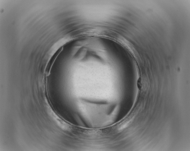 X0000088451434200706121428