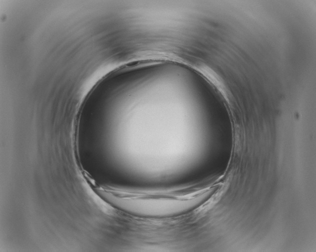 X0000088451438200706121428