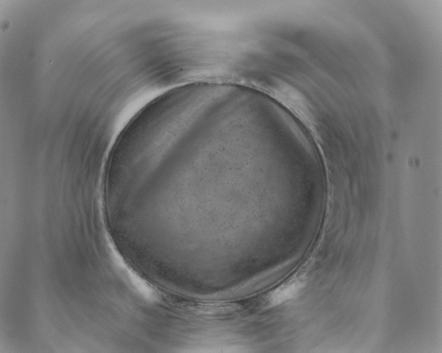 X0000088451440200706121428
