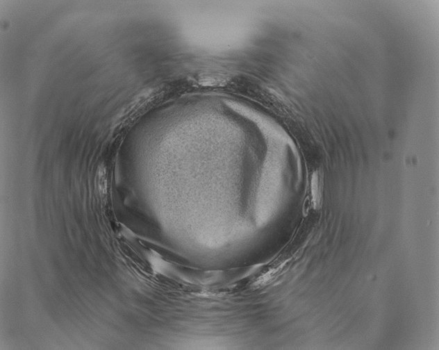 X0000088451443200706121427