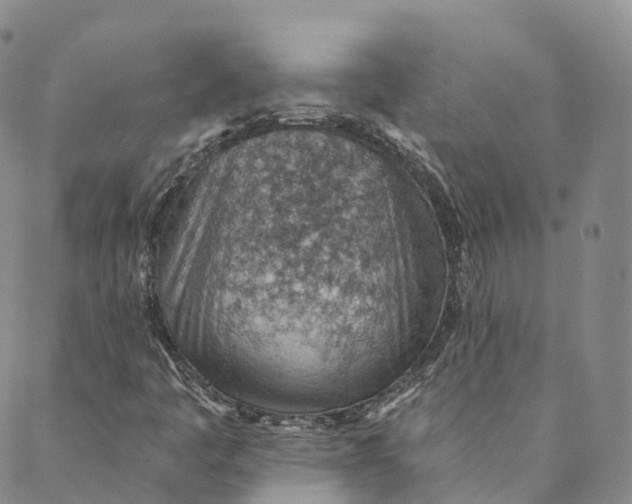 X0000088451445200706121427