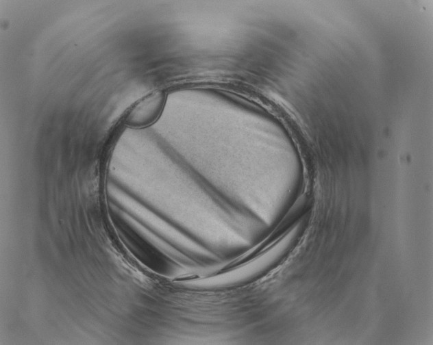 X0000088451450200706121427