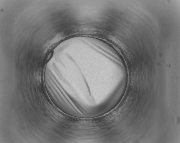 X0000088451451200706121427