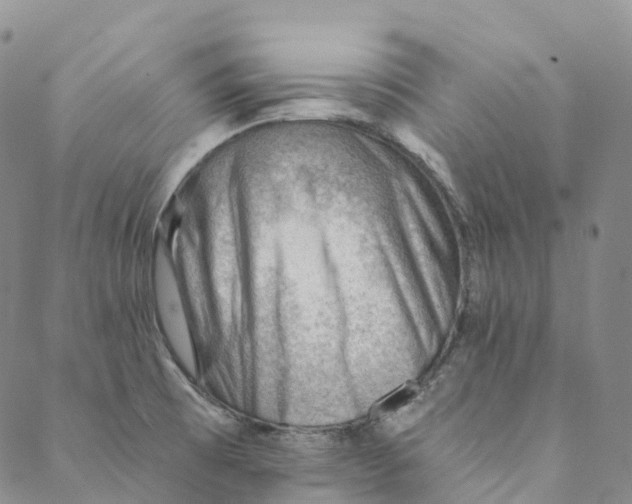 X0000088451473200706121427