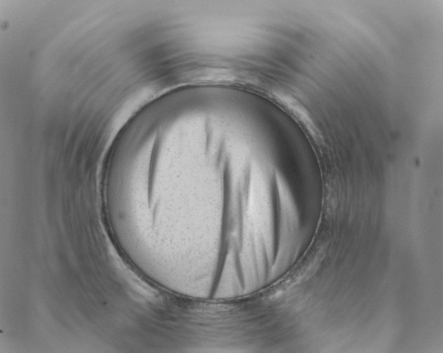 X0000088451475200706121426