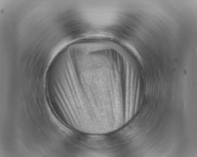 X0000088451483200706121426