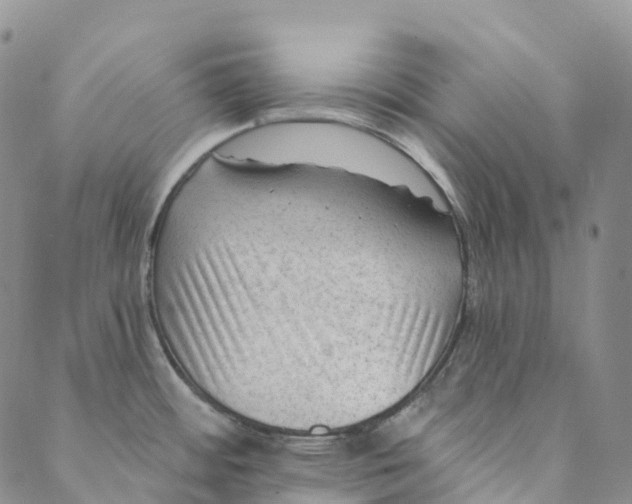 X0000088451484200706121426