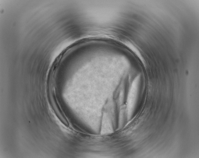 X0000088451485200706121426