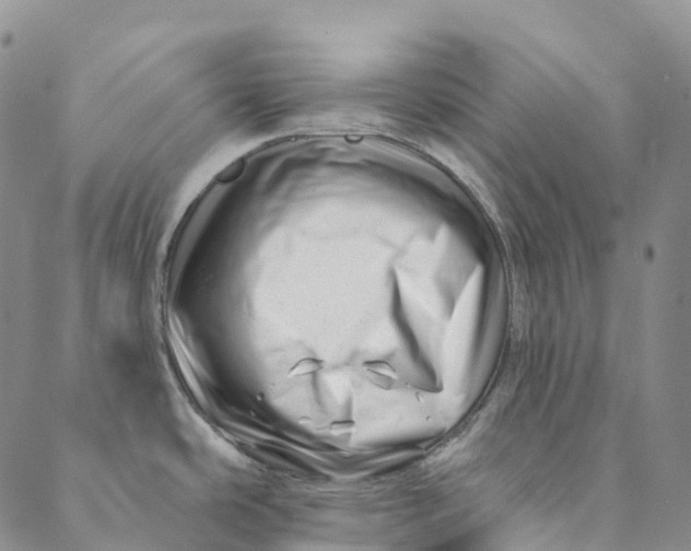 X0000088451486200706121426