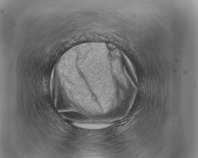 X0000088451490200706121425