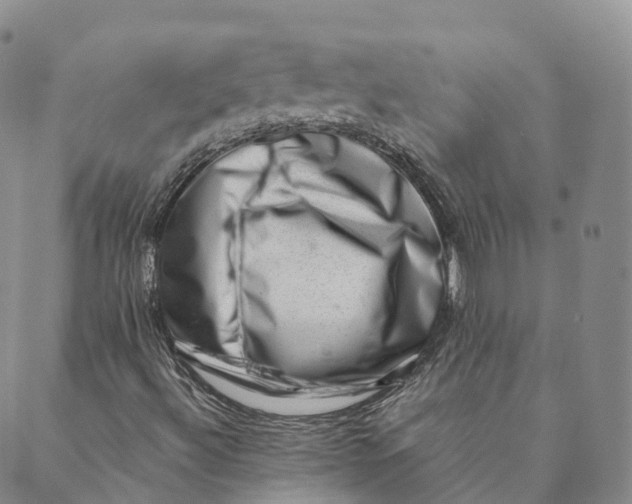 X0000088451492200706121426