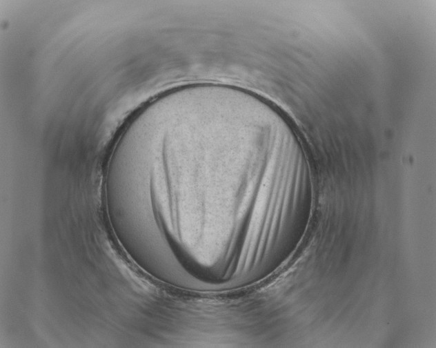 X0000088451507200706121426