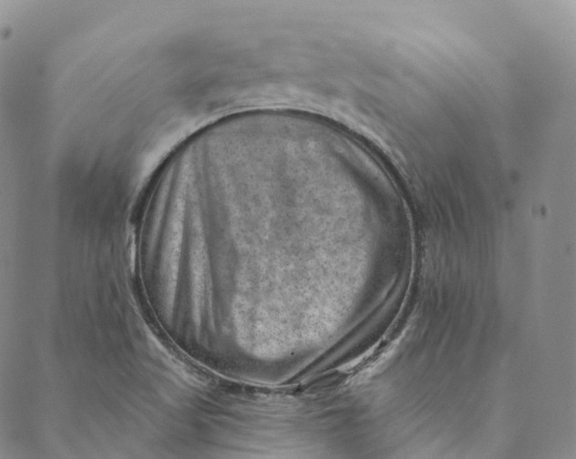 X0000088451509200706121426