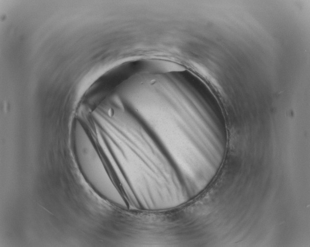 X0000088451520200706121426
