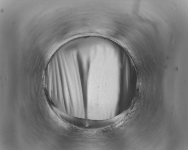 X0000088451524200706121426
