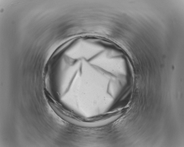 X0000088451532200706121426