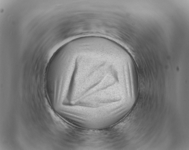 X0000088451534200706121426