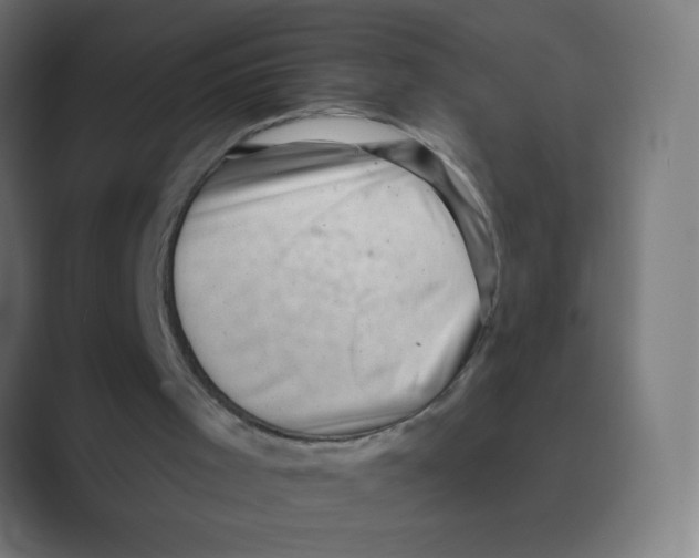 X0000088450001200706191319